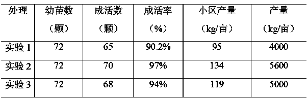 Special formula fertilizer for common head cabbage and preparation method thereof