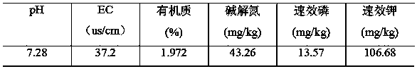 Special formula fertilizer for common head cabbage and preparation method thereof