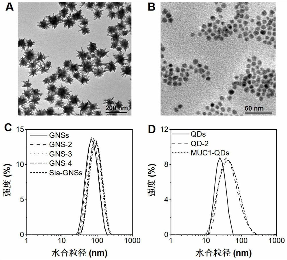 Dual fluorescence imaging method of mucoprotein 1 and sialyl glycosyl thereof and application