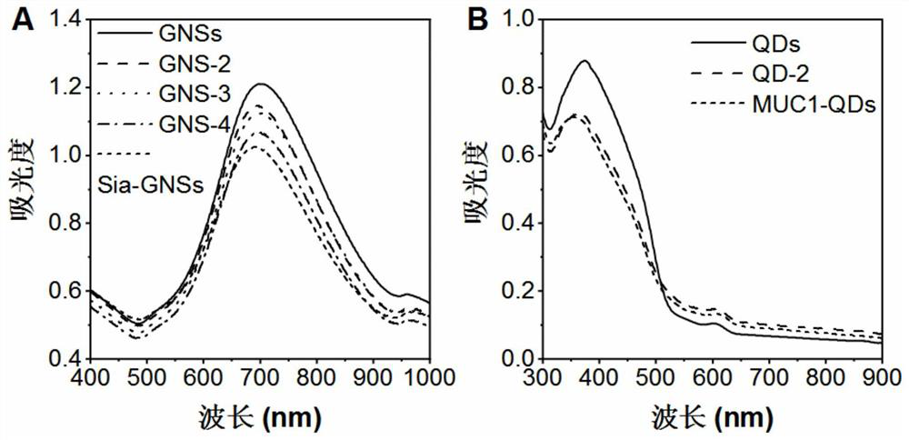 Dual fluorescence imaging method of mucoprotein 1 and sialyl glycosyl thereof and application