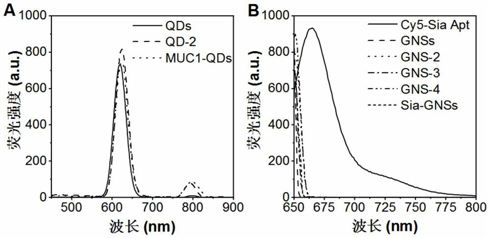 Dual fluorescence imaging method of mucoprotein 1 and sialyl glycosyl thereof and application