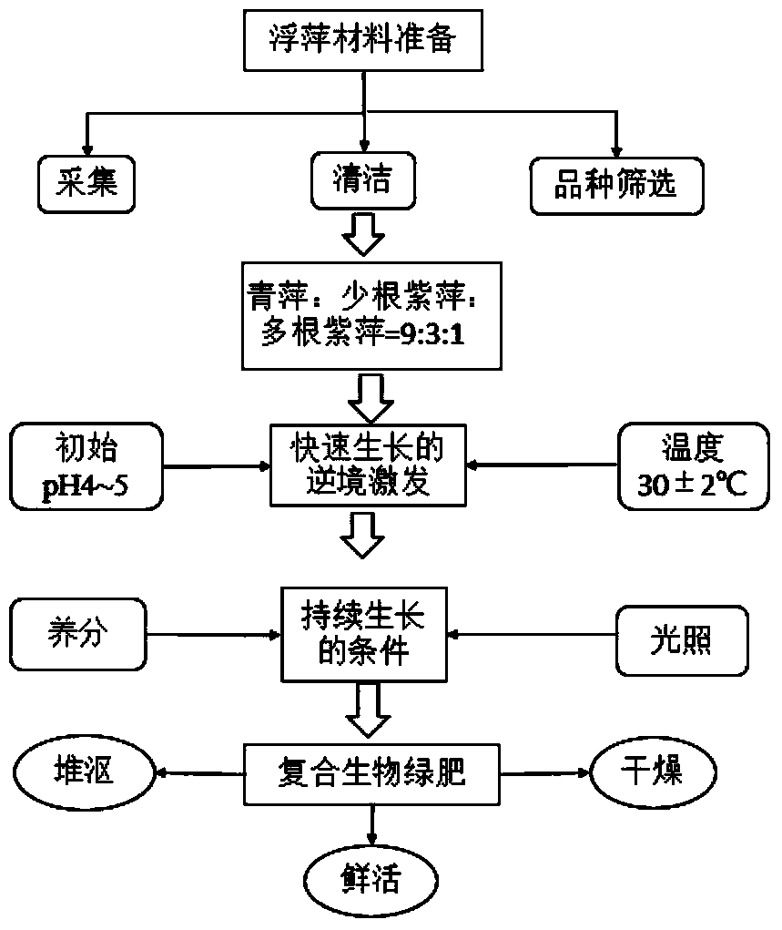 Compound biological green manure optimized culturing method