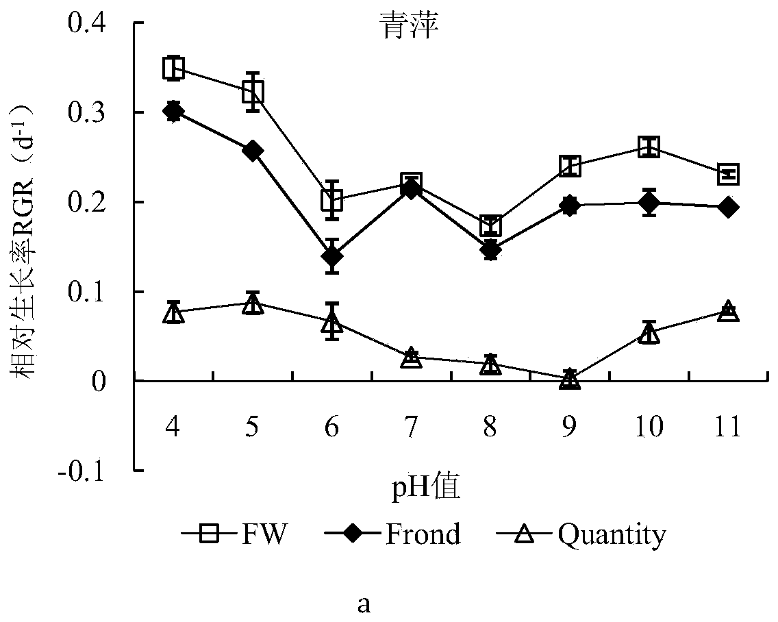 Compound biological green manure optimized culturing method