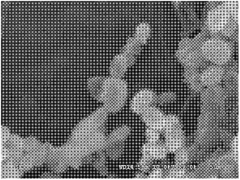 Nonabsorbent streptomyces ahygroscopicus strain BWL58 for preventing and treating banana vascular wilt and application thereof