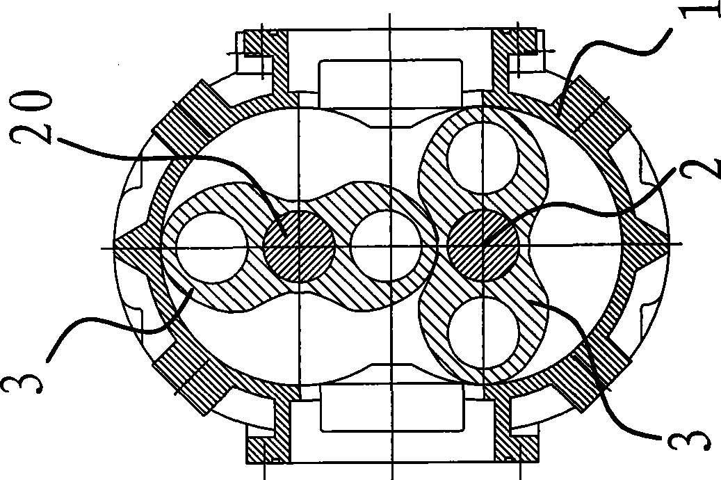 Roots vacuum pump