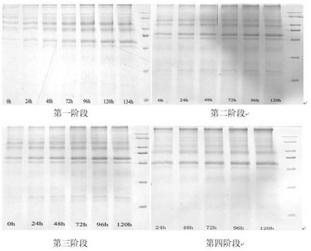 Method for semi-continuous fermentation culture of pichia pastoris engineering bacteria