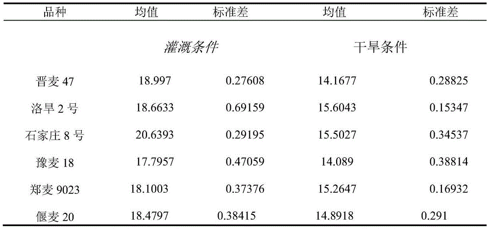 Water-saving wheat variety identification screening method