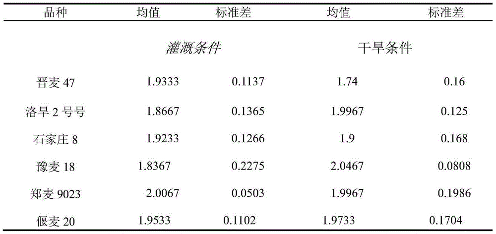 Water-saving wheat variety identification screening method