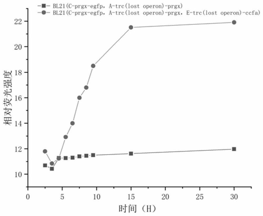 Enterococcus faecalis quorum sensing gene switch system constructed in escherichia coli as well as expression vector, engineering bacteria and application thereof