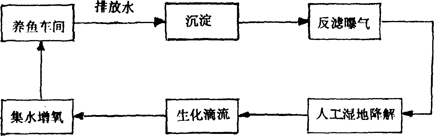 Ecological industrial fish cultivating system