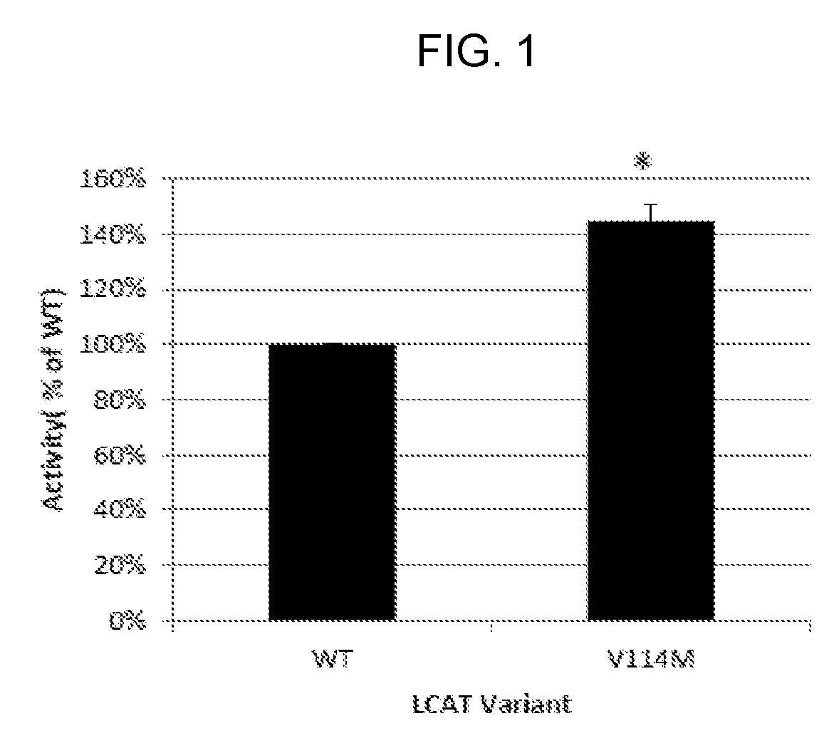 Compositions comprising a lecithin cholesterol acyltransferase variant and uses thereof