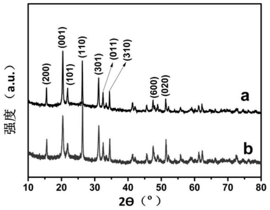 Multi-shell metal oxide hollow sphere synthesized based on anion adsorption and preparation method as well as application thereof