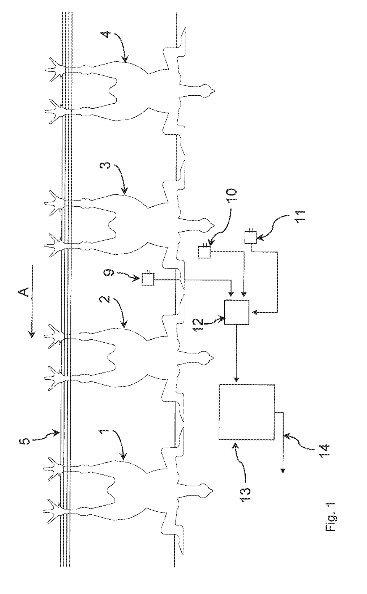 Method and apparatus for processing slaughtered poultry