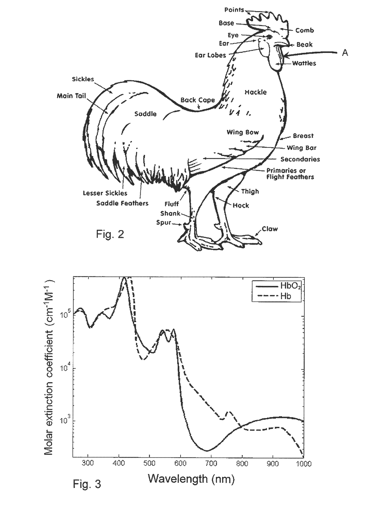 Method and apparatus for processing slaughtered poultry