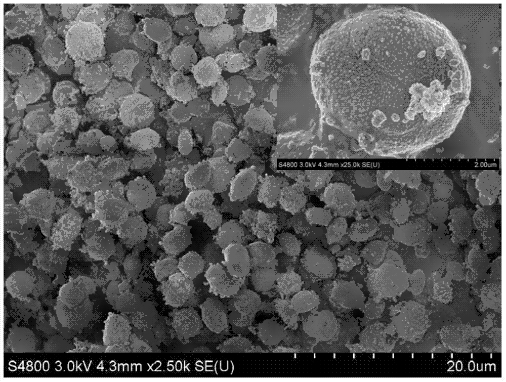 Multi-morphologic Ho/BiVO4 composite photocatalyst, and preparation method and application thereof