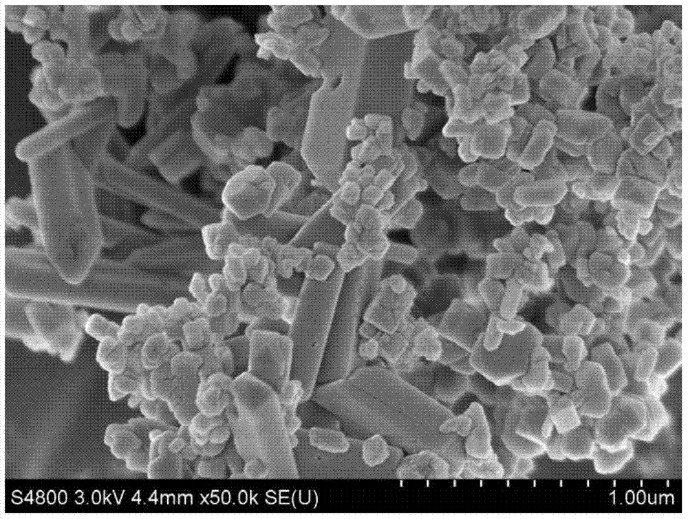 Multi-morphologic Ho/BiVO4 composite photocatalyst, and preparation method and application thereof