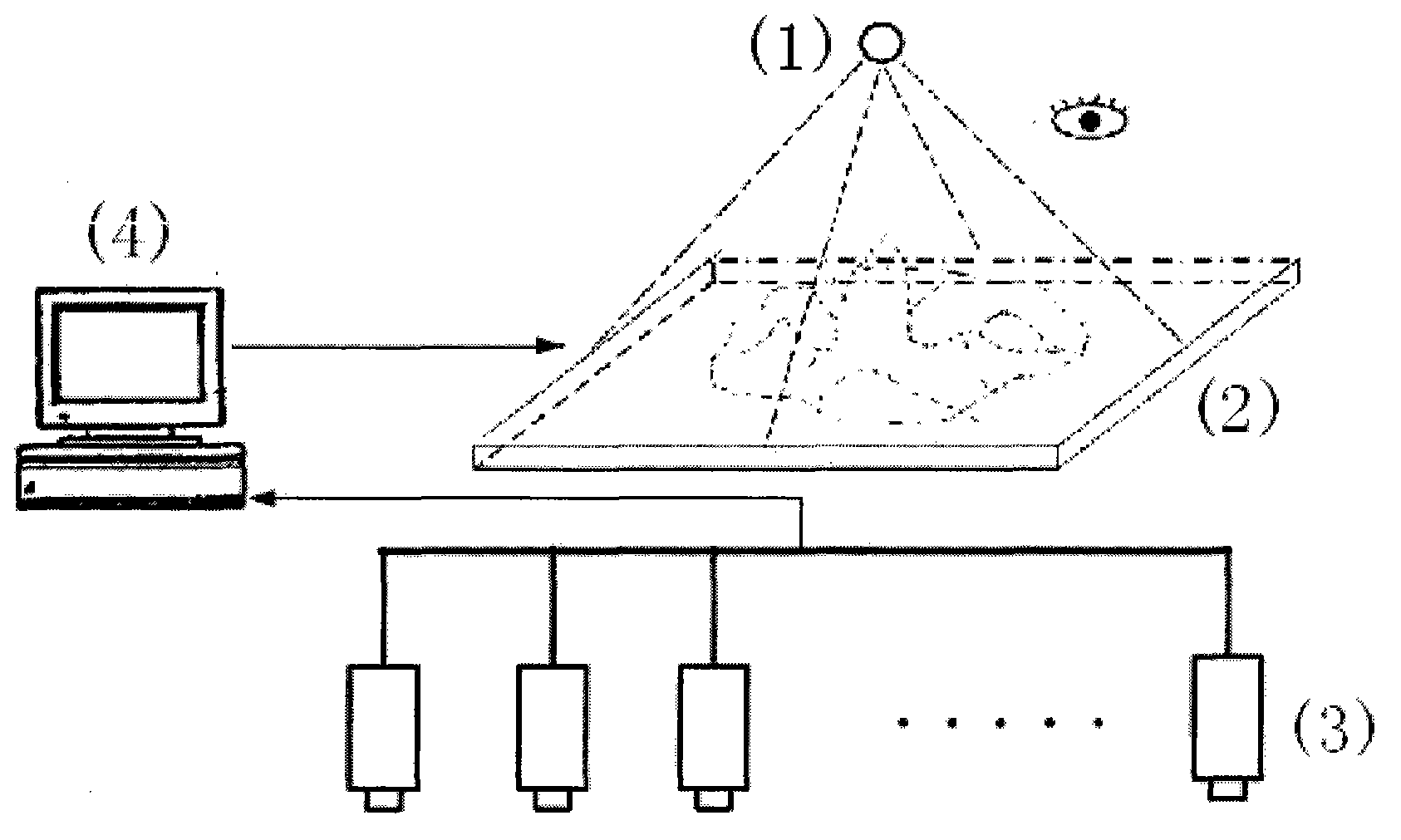 Three-dimensional digital holography photon map