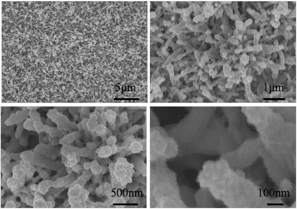 Tungsten trioxide/vanadium pentoxide core-shell-structured nanowire array electrochromic material and preparation method thereof