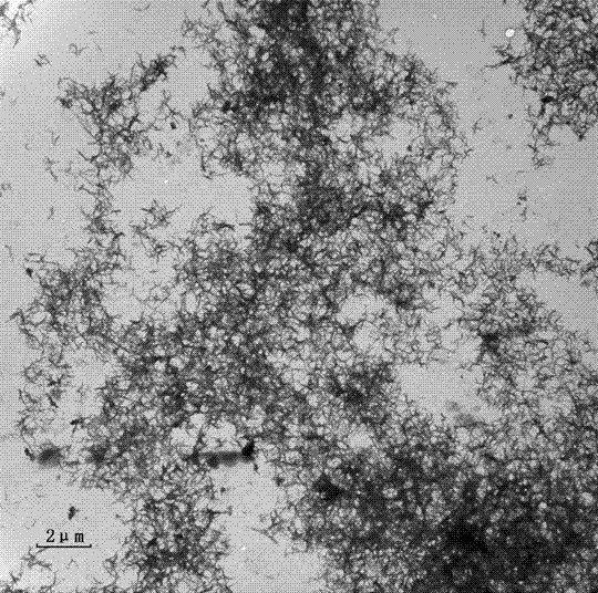 Method for preparing nano crystal cellulose by dissociating ZnCl2