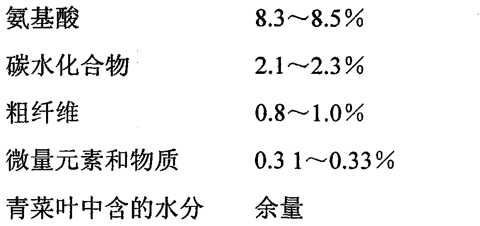 Green vegetable leaf juice drink and preparation method thereof