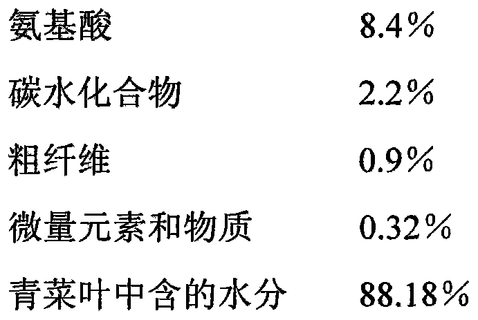 Green vegetable leaf juice drink and preparation method thereof