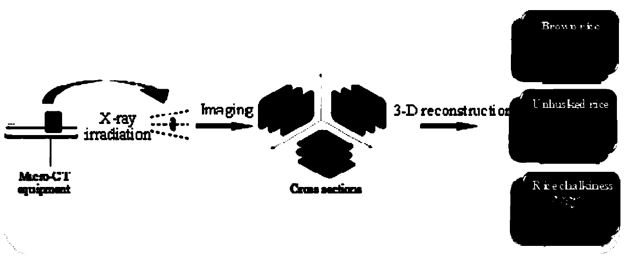 Three-dimensional measurement method for chalkiness of rice based on Micro-CT