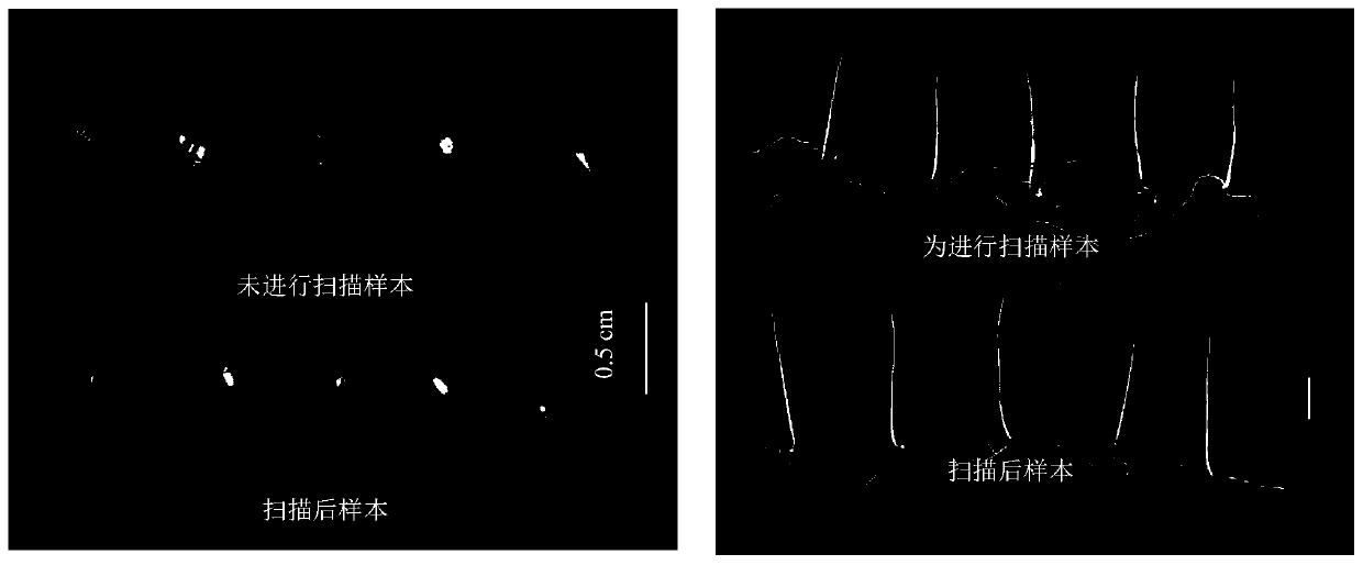 Three-dimensional measurement method for chalkiness of rice based on Micro-CT