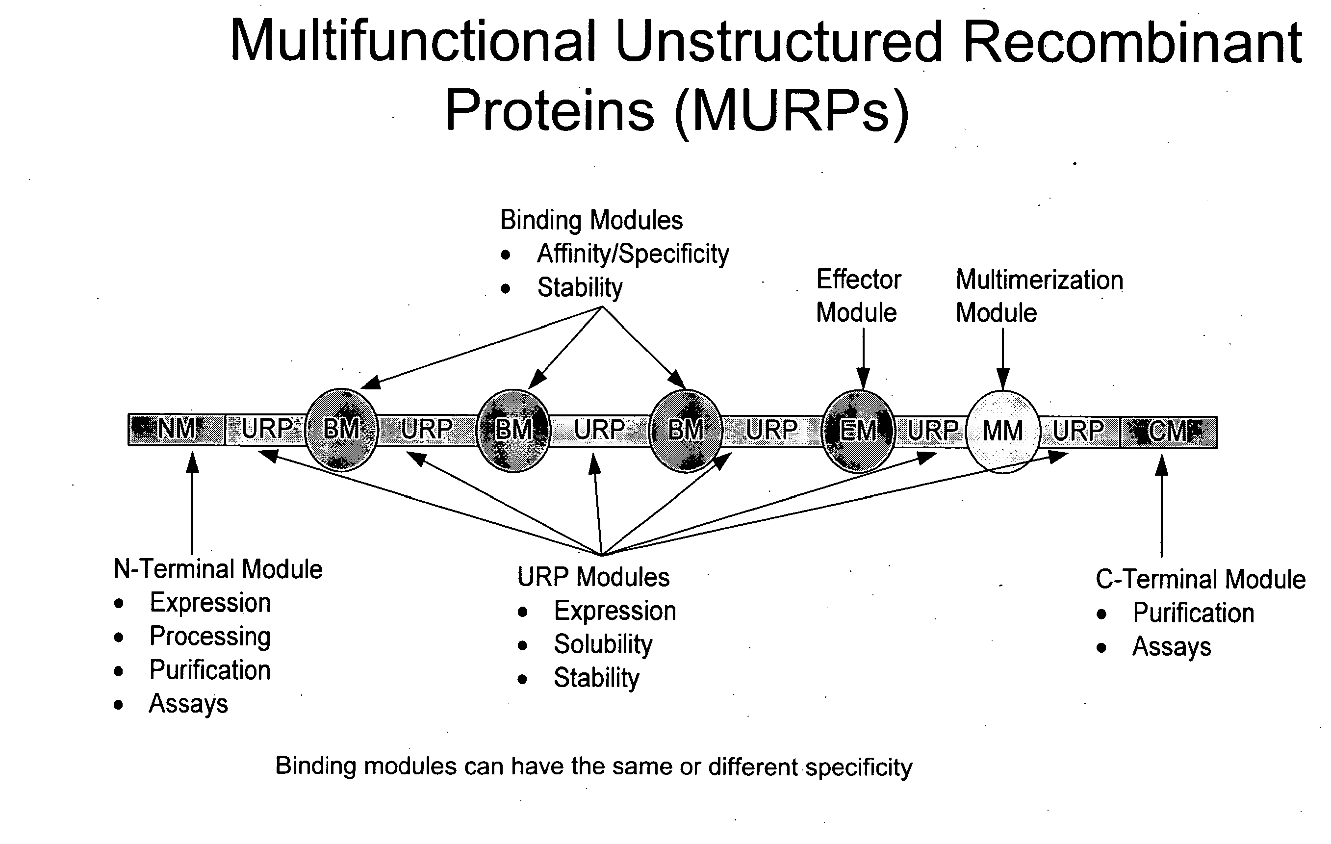 Methods for production of unstructured recombinant polymers and uses thereof