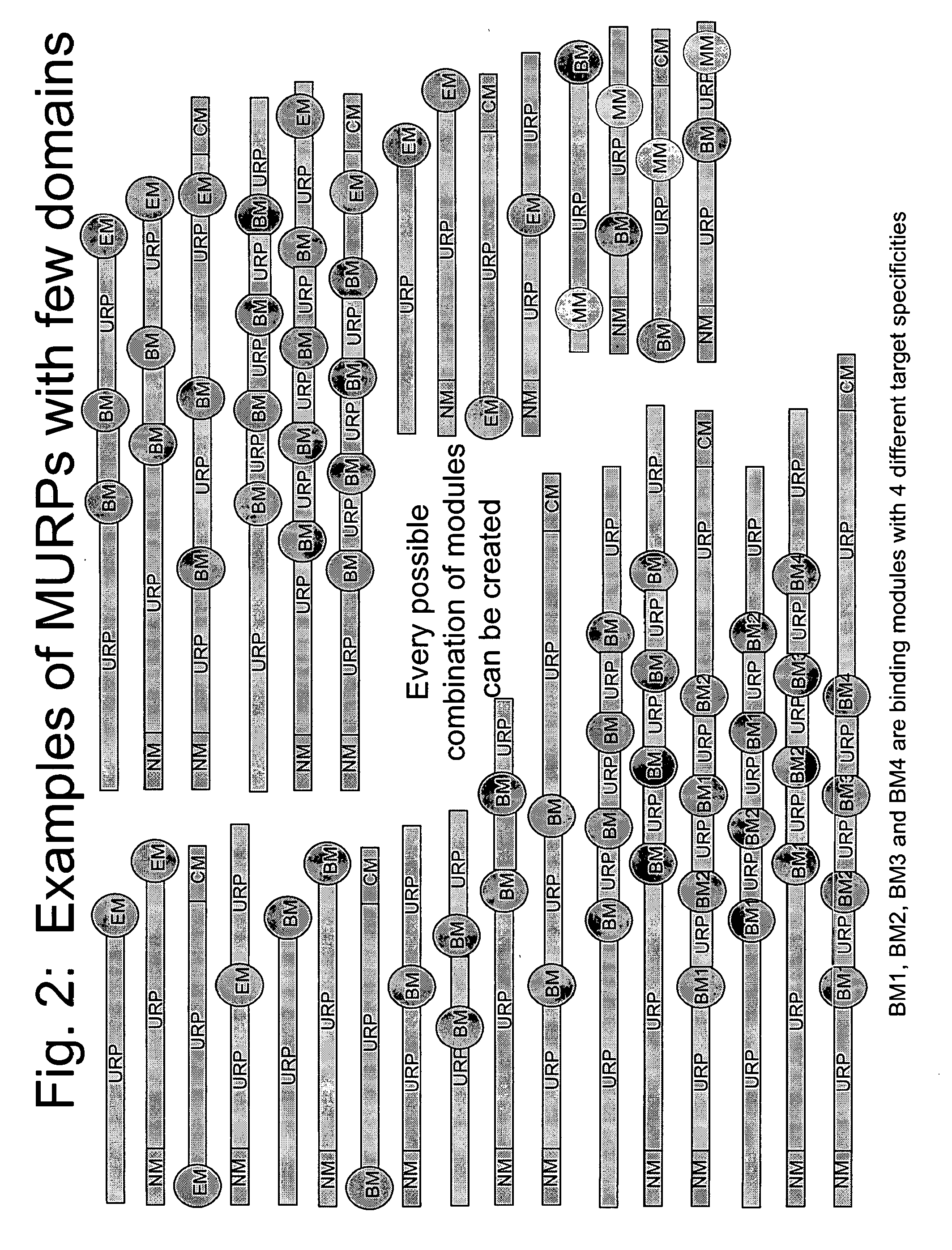 Methods for production of unstructured recombinant polymers and uses thereof