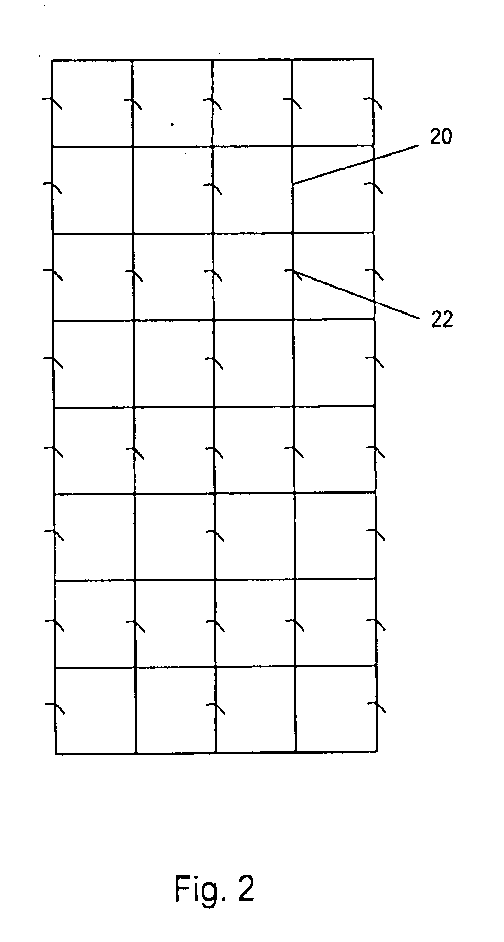 Reinforced biological mesh for surgical reinforcement