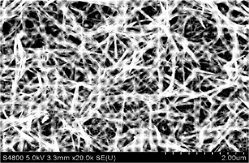 CuO/TiO2 nanotube array and preparation method and application method thereof