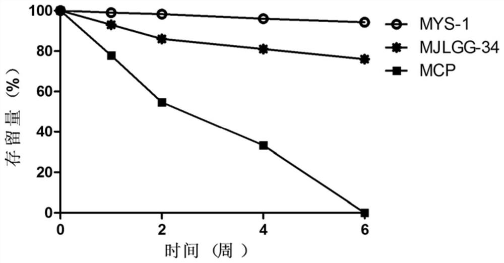 A kind of gene recombinant collagen oligopeptide mys-1 and its preparation method and application