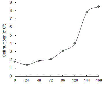 Chilo suppressalis larva midgut cell line with high yield of baculovirus