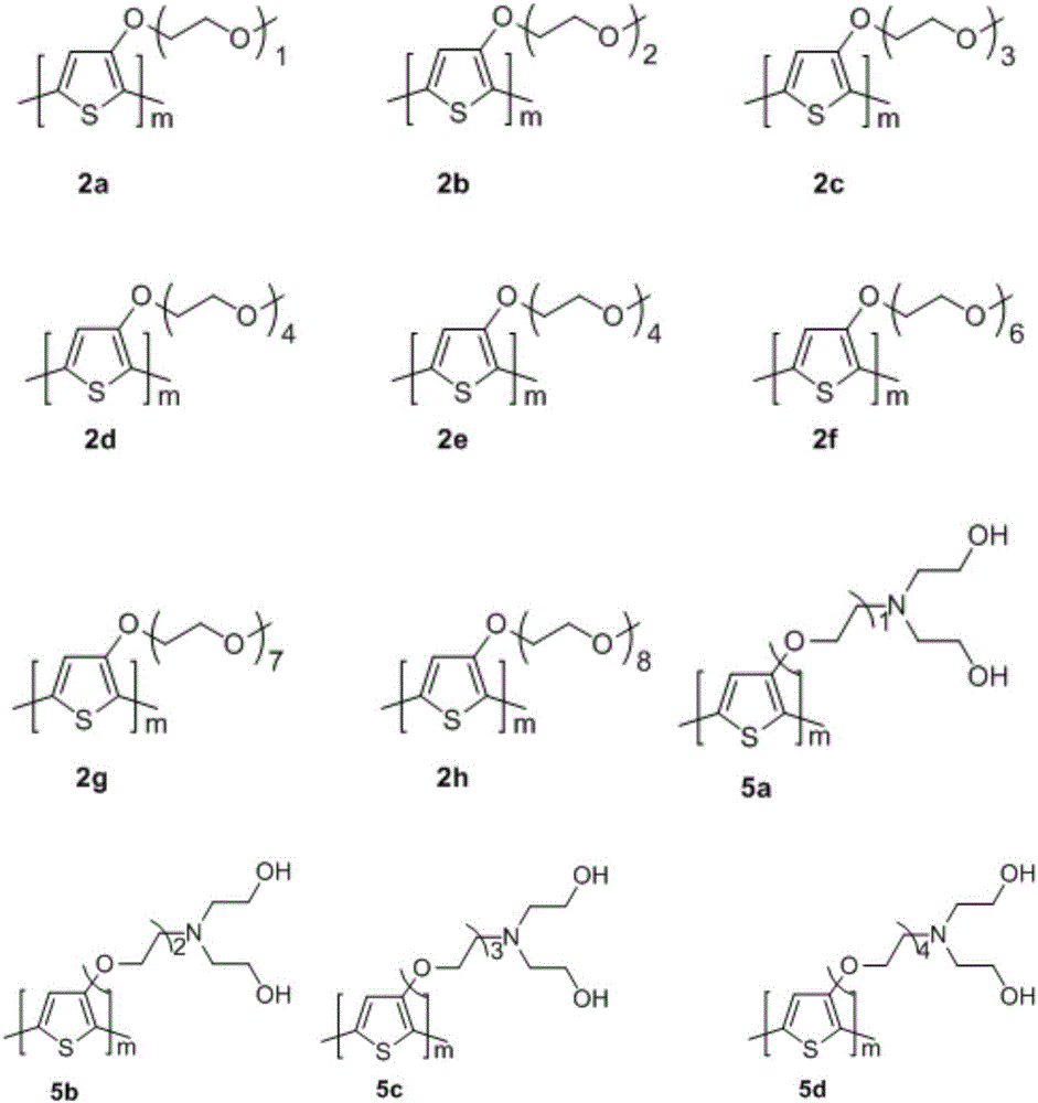 Polythiophene with side chain containing hydrophilic group, and preparation method thereof