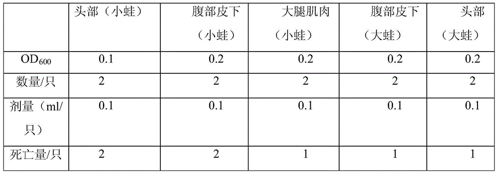 Completely inactivated vaccine for preventing and treating spinach frog skin rot and preparation method thereof