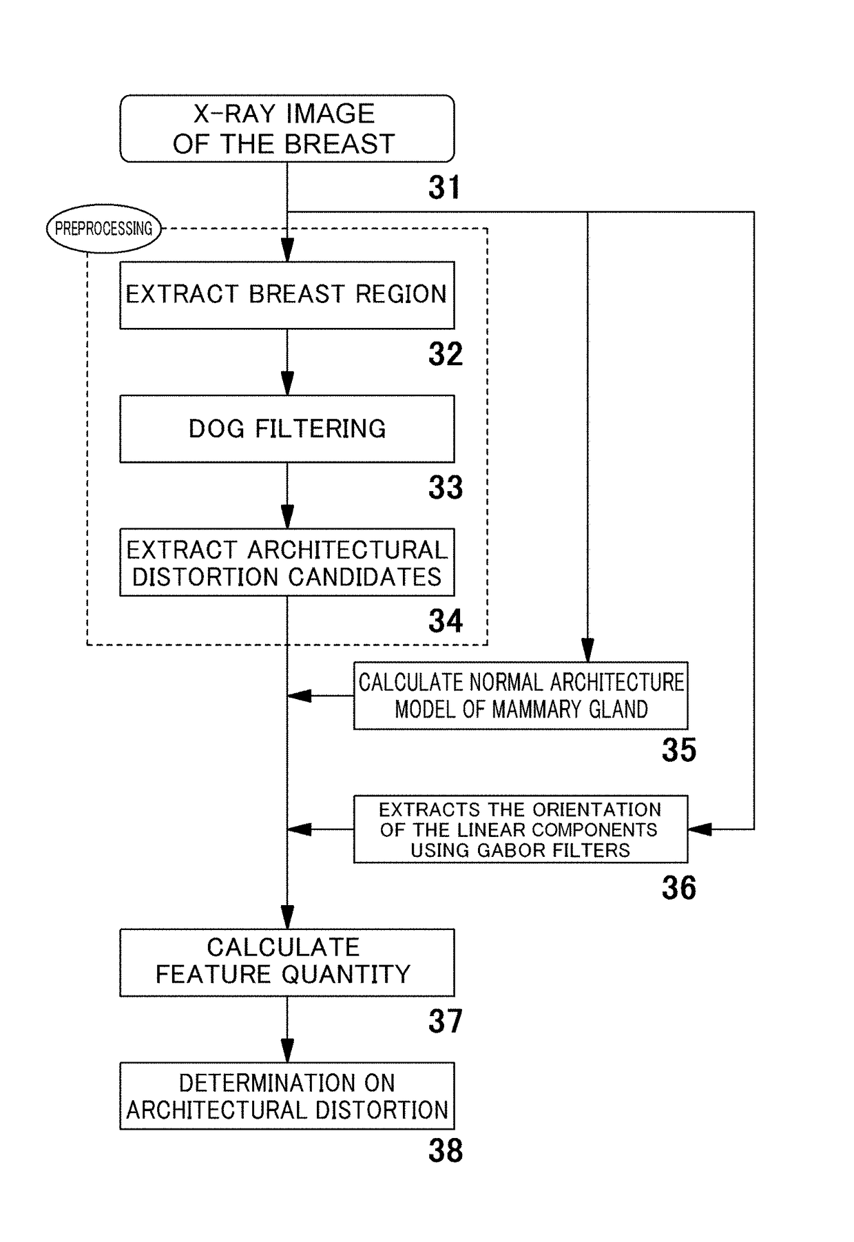 Breast cancer detection system, breast cancer detection method, breast cancer detection program, and computer-readable recording medium having breast cancer detection program recorded thereon