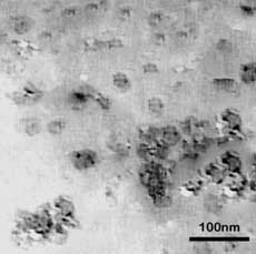 Method for preparing micro nano starch granules emulsifier and application thereof