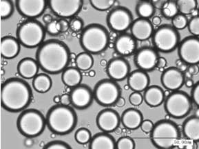 Method for preparing micro nano starch granules emulsifier and application thereof