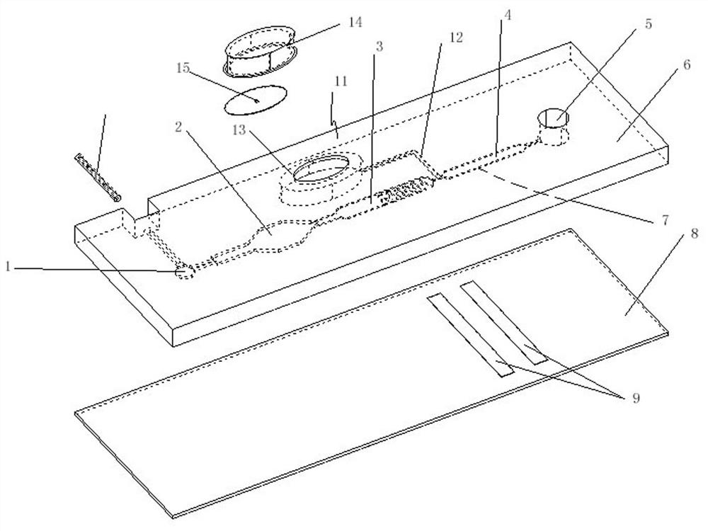 Microfluidic chip for separation and detection of whole blood samples and its detection method