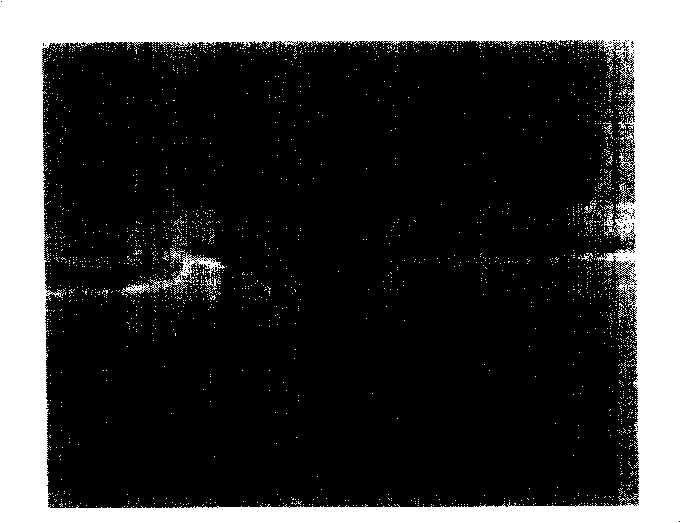 Manufacturing process of self-aligned silicide barrier layer