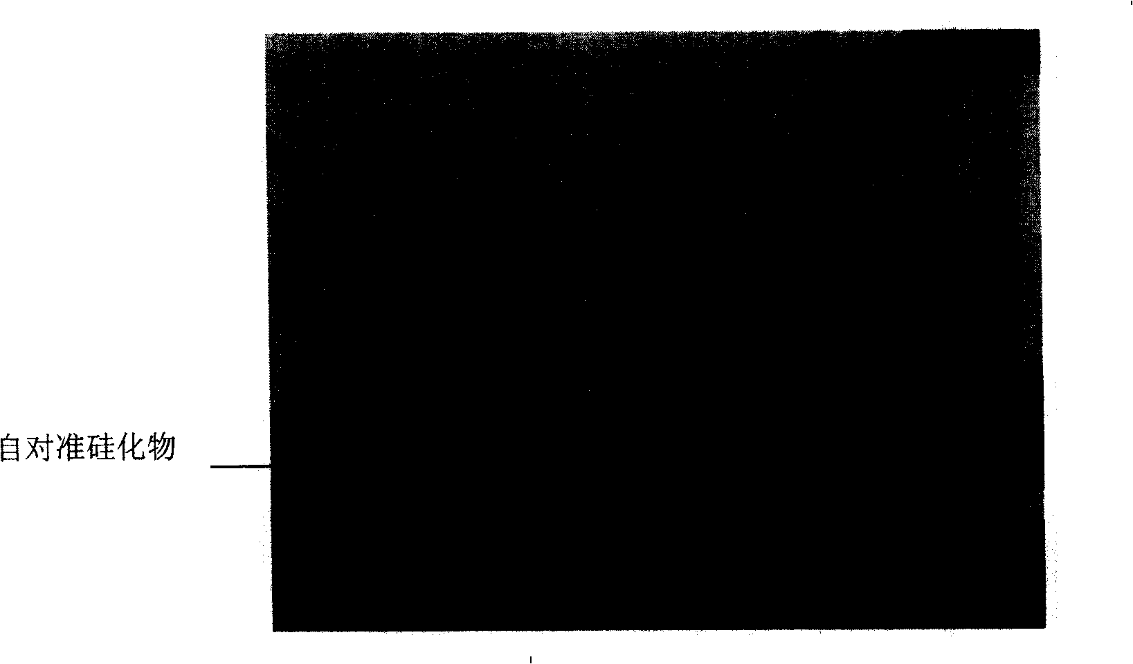 Manufacturing process of self-aligned silicide barrier layer