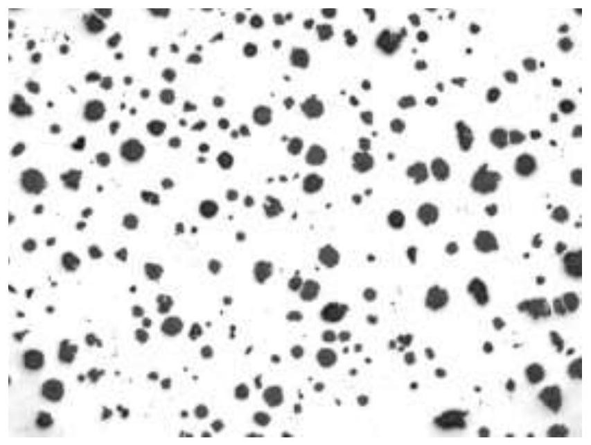 A kind of Si-free rare earth magnesium alloy nodulizer and its preparation method and application