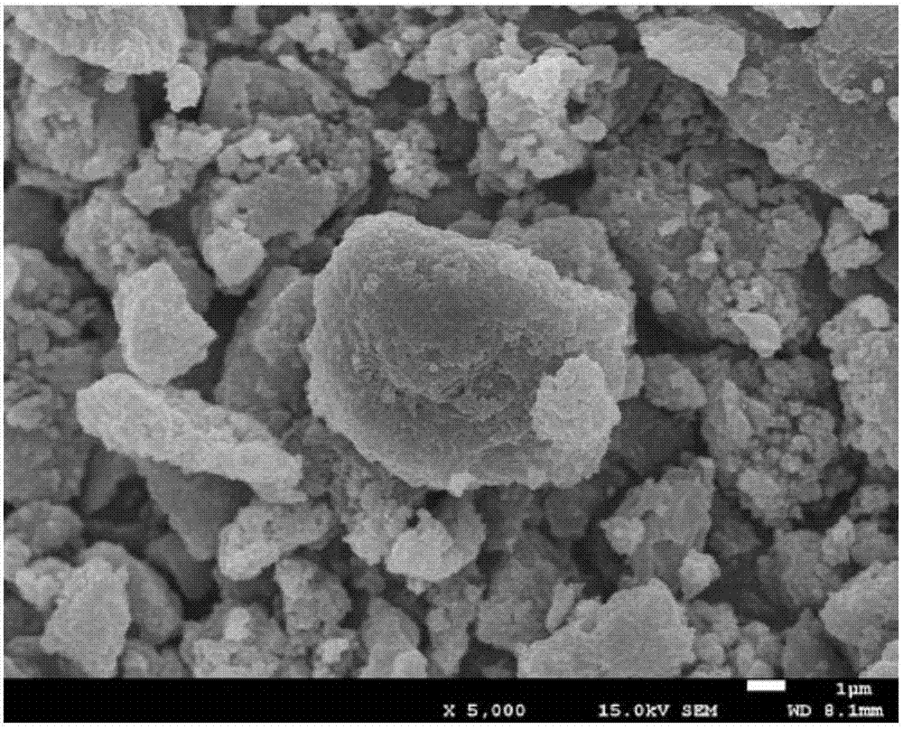 Lithium ion battery negative electrode active material, preparation method thereof, negative electrode and battery