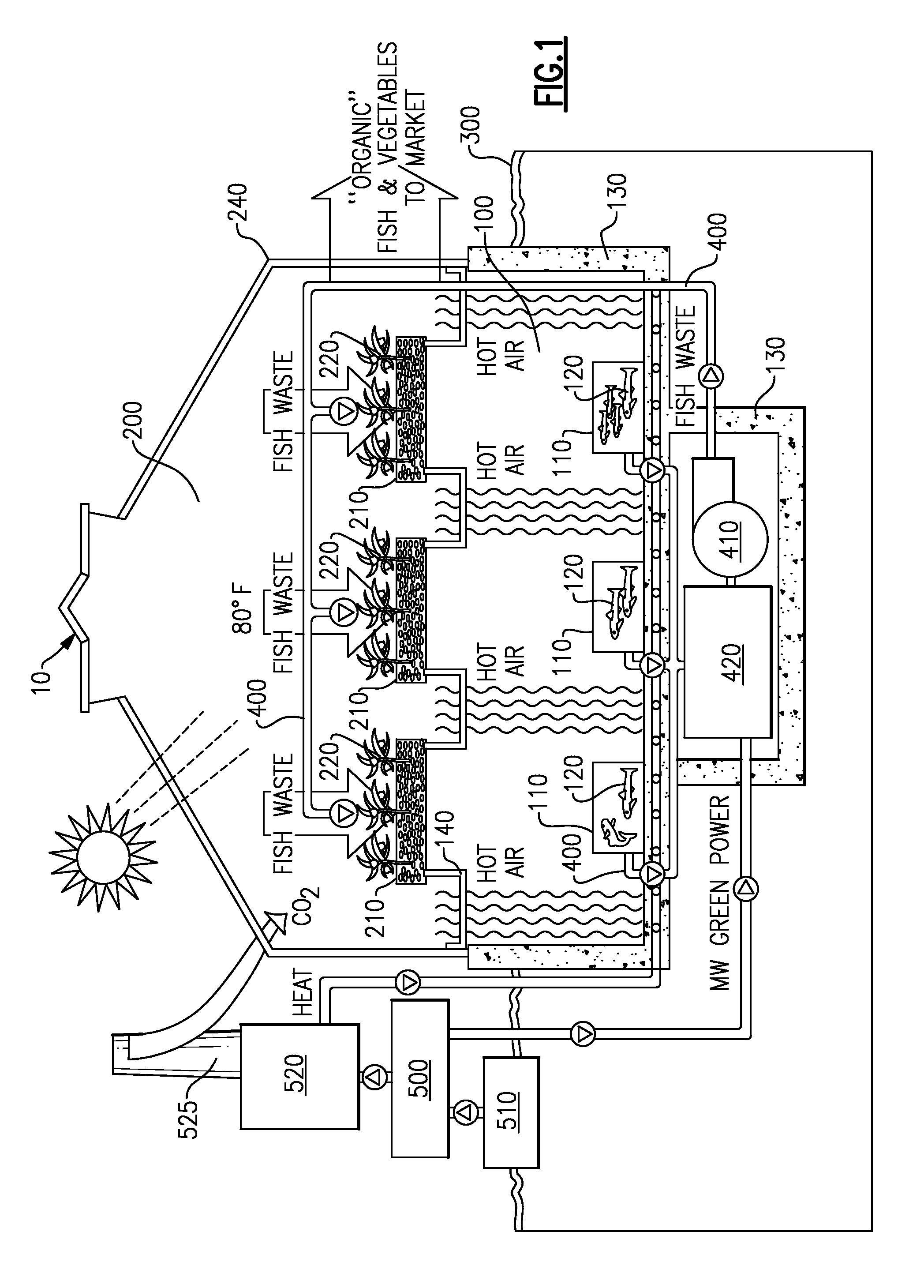 Fish and plant factory