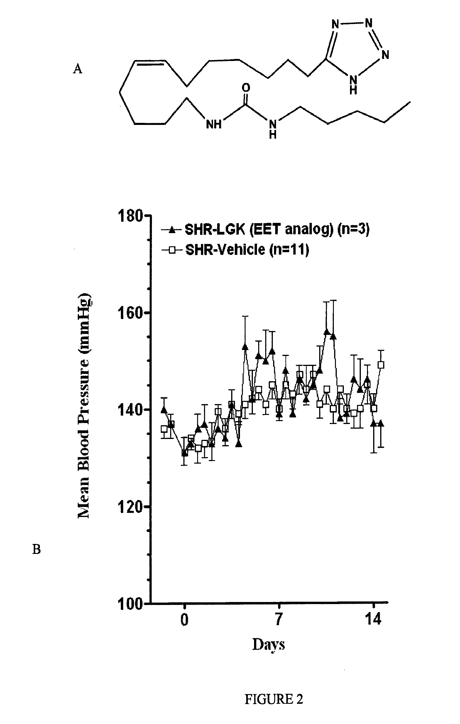 Epoxyeicosatrienoic acid analogs and methods of making and using the same