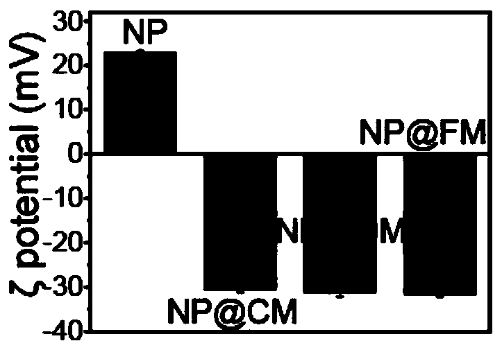 Cell membrane tumor vaccine and preparation method and application thereof