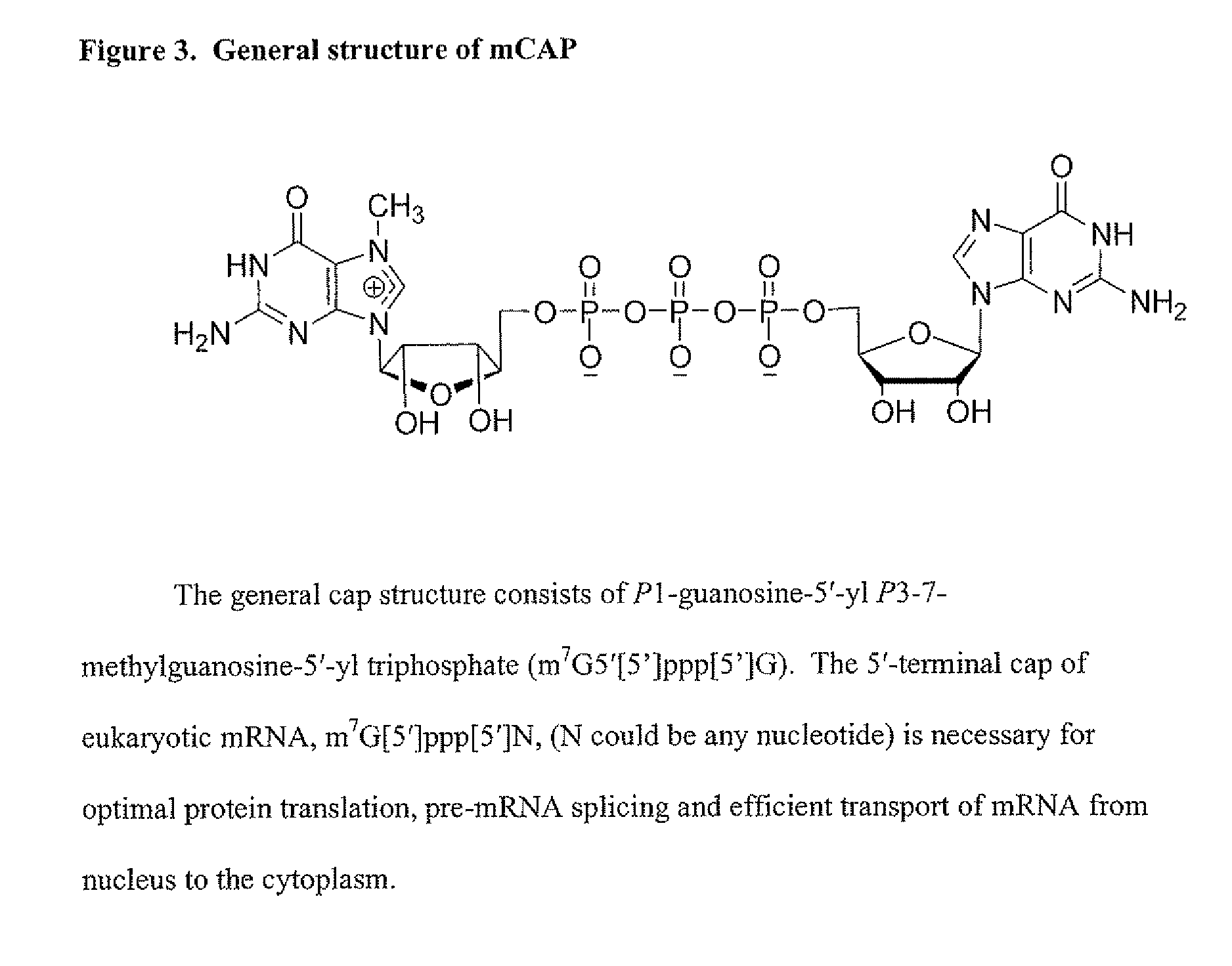 Dinucleotide MRNA cap analogs