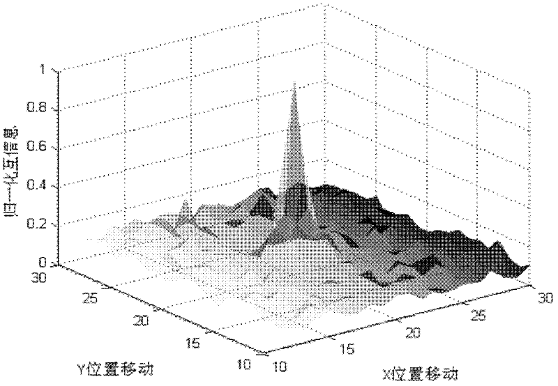 Characterization method of similarity of polarized synthetic aperture radar image