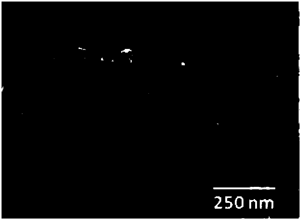 Preparation method and application of separation film with nano composite cortical layer