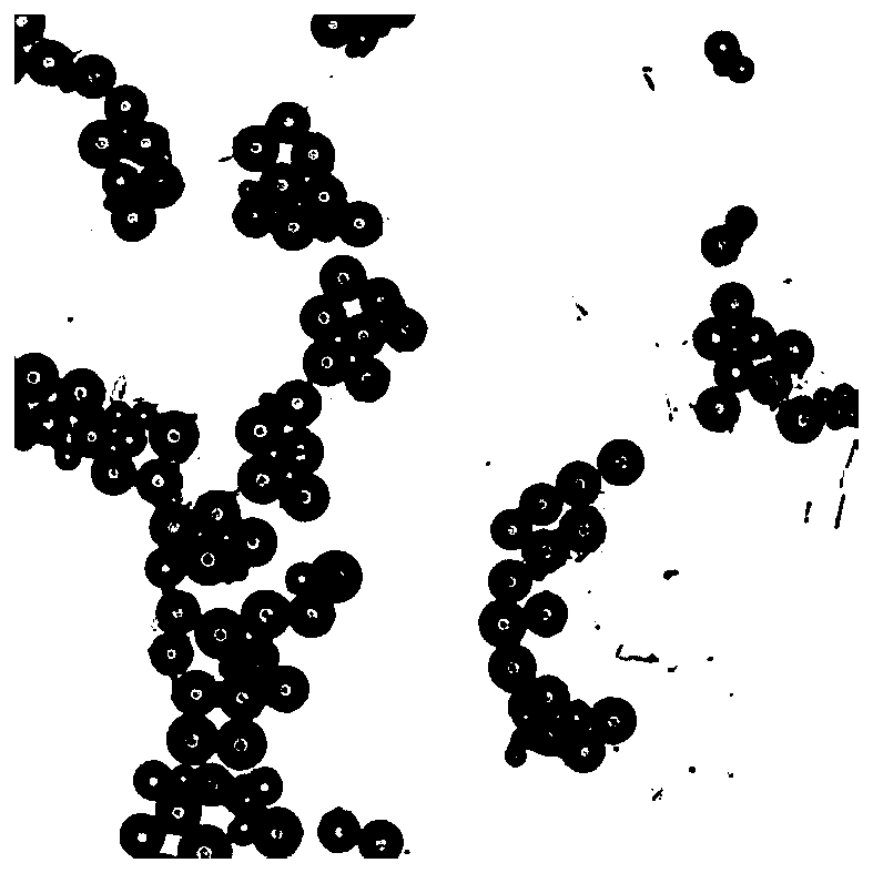 A method for preparing coded microspheres